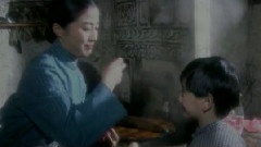 蔡国庆 - 回家