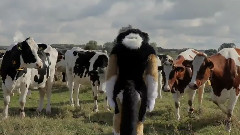 Psy - Gangnam Style