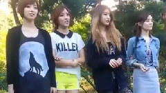 T-ara N4,T-ara - Fan Meeting Event