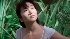 陶晶莹 - 依赖