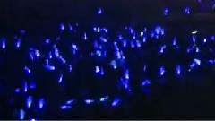 Super Junior - Don't Don & Walkin Boom The