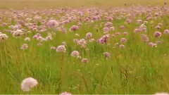 韩磊,音乐短片 - 心灵睡过的地方 风光版