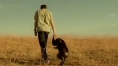 Weezer - Island In The Sun