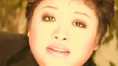 韩红 - 你不会回来