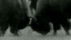 U2 - One