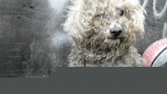 模仿翻唱 - Beautiful Story