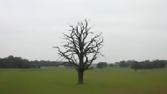 PJ Harvey - The Glorious Land