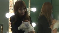 f(x) - I Love Pet CeCi