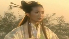 苏有朋 - 人生若只如初见