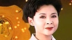 董文华 - 公仆心