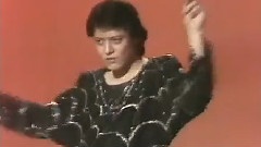 刘文正 - 一段情