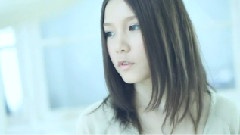 本兮 - 你在看孤独的风景