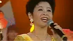 董文华 - 飞越雄关