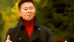 王宏伟 - 不能不爱你