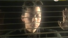 蔡枫华 - 破碎
