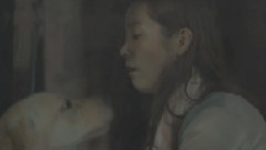 Noel - 为了生存