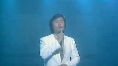 群星 - 情爱几多哀