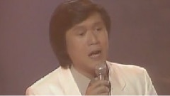 群星 - 万水千山纵横