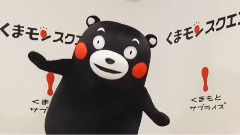 日本群星 - くまもとサプライズ! ～くまモンスクエアver.