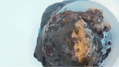 欧美群星 - Crossing Borders