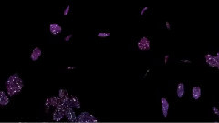 Enya - Paint The Sky With Stars