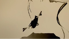 轻音乐 - 苦禅