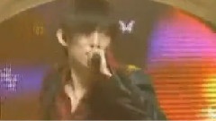 V6 - 蝶