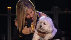 Barbra Streisand - Smile