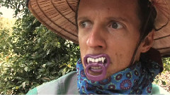 Jason Mraz - Magi-Cam Part 1 Grati-Tube