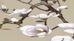 轻音乐 - 追逐
