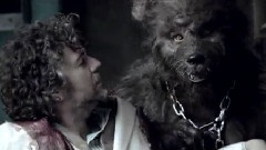 The Flaming Lips - The Yeah Yeah Yeah Song