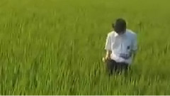 Salyu - 飞不起来的翅膀