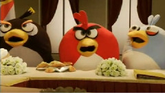 搞笑音乐 - Angry Birds Peace Treaty