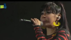 2NE1 - Fire TBS YGFamily Concert