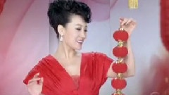 谭晶 - 喜庆的日子