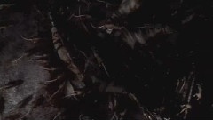 游戏原声 - Biohazard Outbreak1 OP