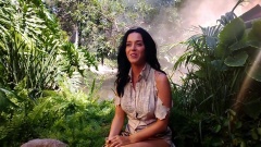 Katy Perry - Roar