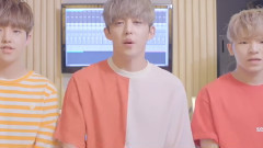 Seventeen - Seventeen Love&Letter 后续专辑采访