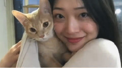 崔雪莉,f(x) - 雪莉和她的小猫
