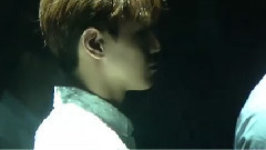BEAST - Butterfly