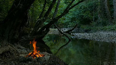 音乐短片 - Old Paths,New Ways