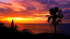 音乐短片 - 海滨之歌