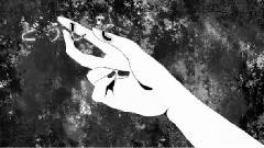 动漫专属 - TheBlue