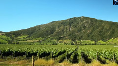 音乐短片 - (弛放)The Long Way Home