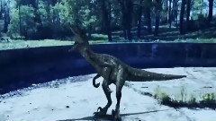 音乐短片 - GNIAZDO T-REXA