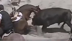 音乐短片 - Life and death moment The deadly attack by herbivores to the beast