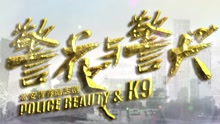  - 电视剧《警花与警犬》片头曲