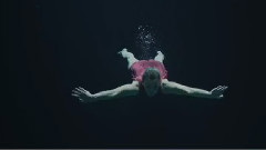 欧美群星 - Halcyon Birds