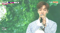BEAST - Betterfly & Ribbon