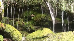 模仿翻唱 - 贝加尔湖畔
